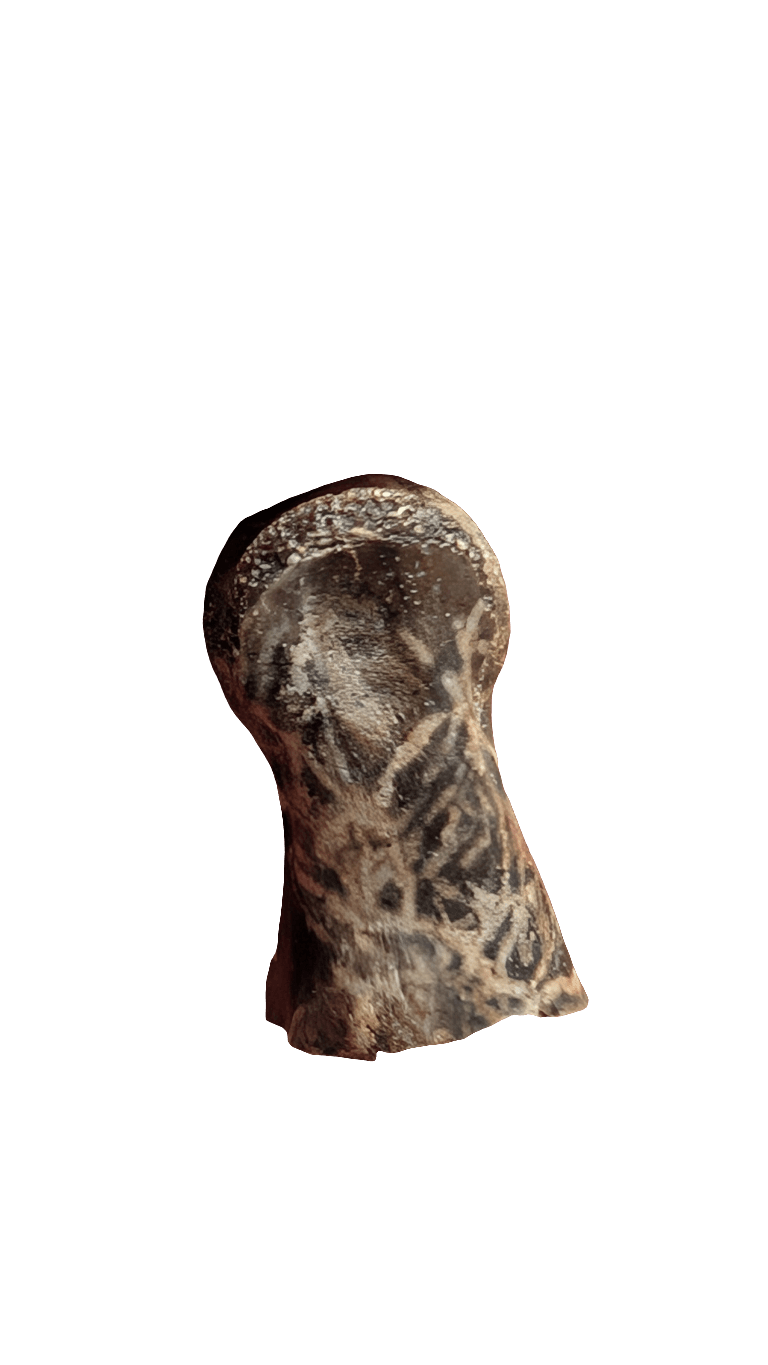 Dromaeosaur Raptor Phalanx Toe Bone - Hell Creek