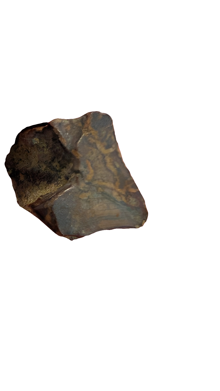 Triceratops Spit Tooth