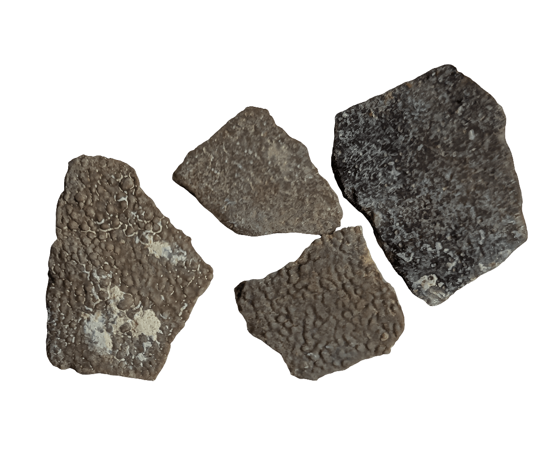 French Dinosaur Eggshell