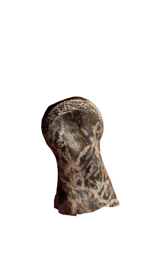 Dromaeosaur Raptor Phalanx Toe Bone - Hell Creek