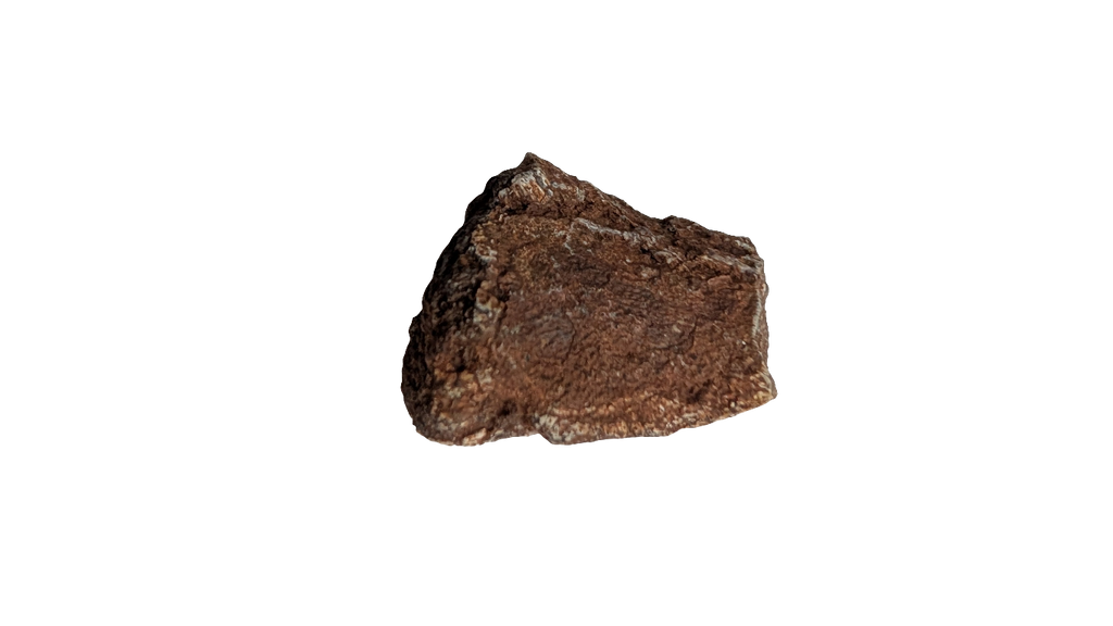 Tenontosaurus Ungual Claw