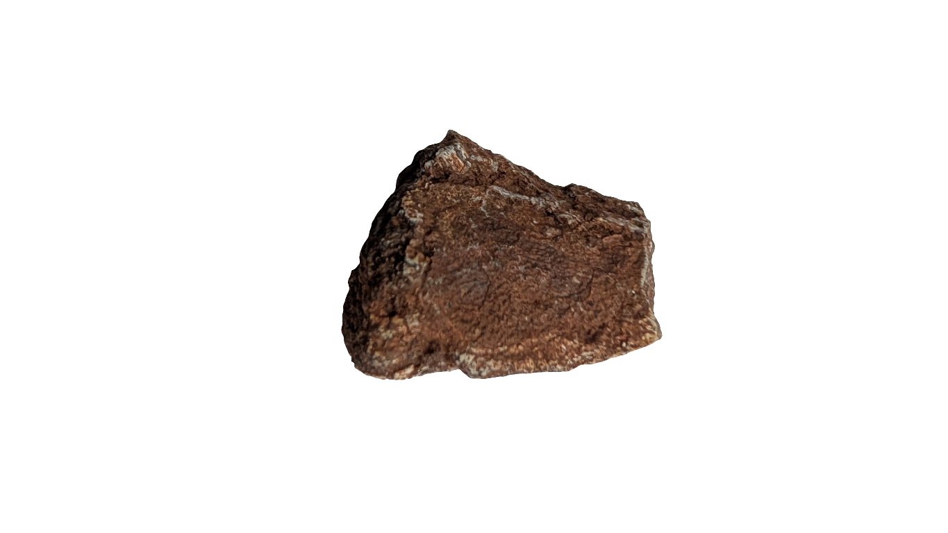 Tenontosaurus Ungual Claw