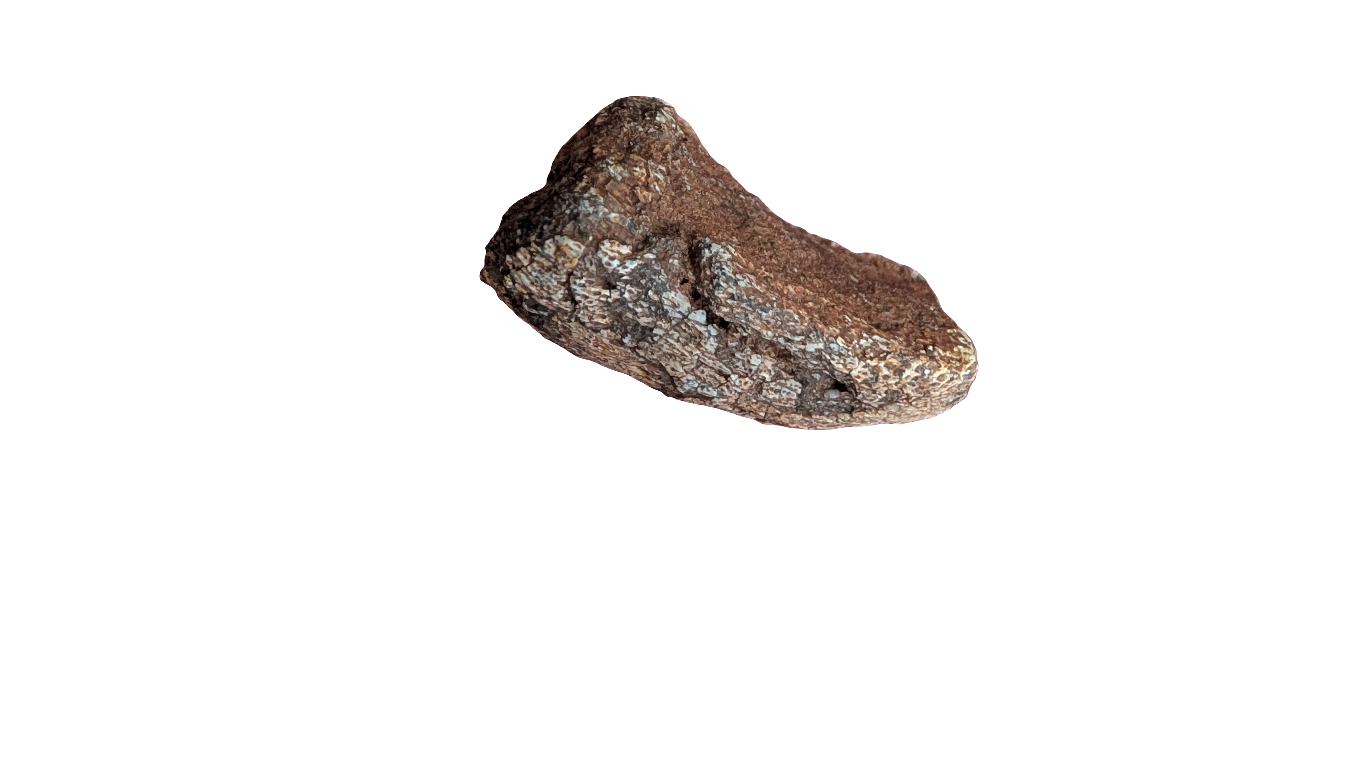 Tenontosaurus Ungual Claw