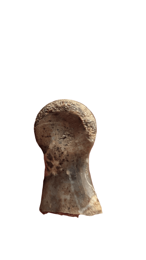 Dromaeosaur Raptor Phalanx Toe Bone - Hell Creek