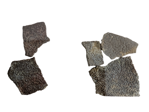 French Dinosaur Eggshell