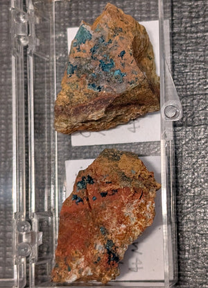 Descriptive image text